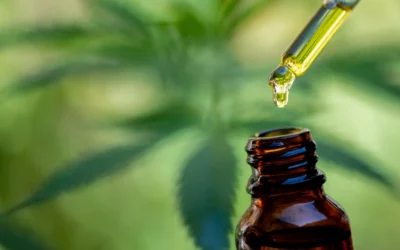 Vad är CBD? Allt du behöver veta om cannabidiol